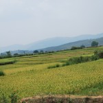 A Scene Before a Porja Village (DUMMA-GUDRI)