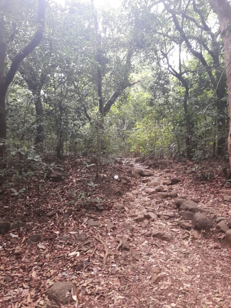 Sacred Grove of Bhimashankar